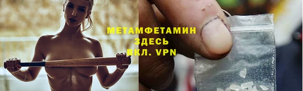 сатива Беломорск