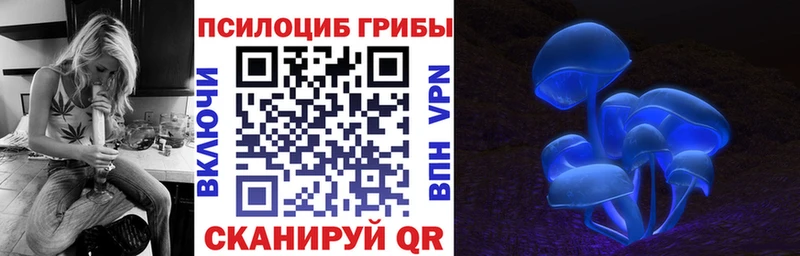 купить  сайты  площадка Telegram  Галлюциногенные грибы Magic Shrooms  Красноармейск 